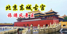 操逼欧美视频网站中国北京-东城古宫旅游风景区